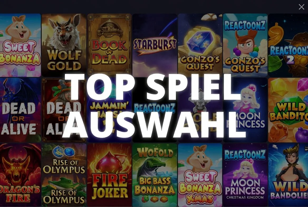 Spielauswahl und Automaten beim Anbieter